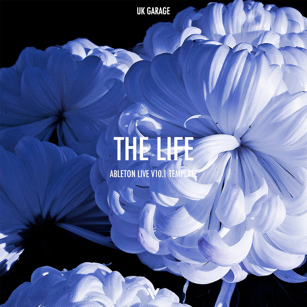UK Garage Ableton Template (The Life) (Fred again.., Swedish House Mafia style)